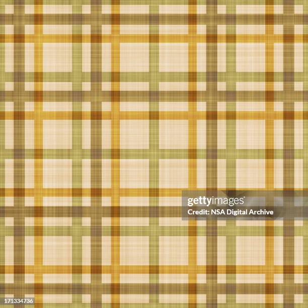 gingham textile pattern | fabrics and wallpapers - table cloth stockfoto's en -beelden