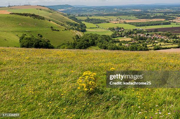 Rolling Ridge Area Rolling Ridge Farm Photos and Premium High Res Pictures - Getty Images