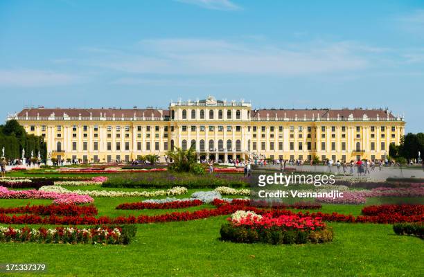 palace of schonbrunn - schönbrunn palace stock pictures, royalty-free photos & images