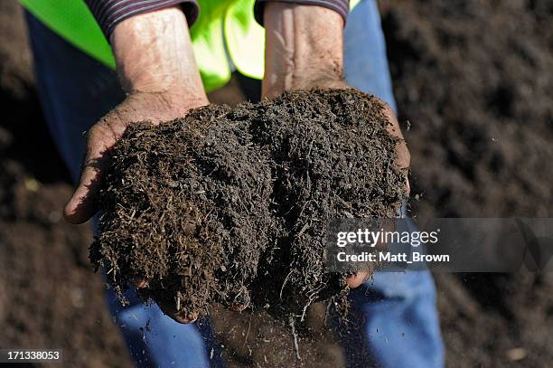 hands holding compost - matjord bildbanksfoton och bilder