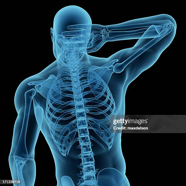 anatomia di un uomo con la mano sul collo - scheletro foto e immagini stock