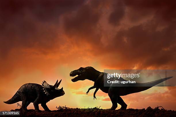 dinosaurs - dino stock pictures, royalty-free photos & images