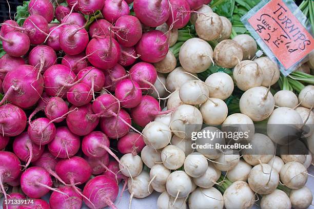 pink and white turnips - turnip stock pictures, royalty-free photos & images
