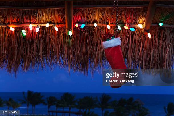 christmas vacation in the tropical caribbean beach hz - christmas palm tree stock pictures, royalty-free photos & images