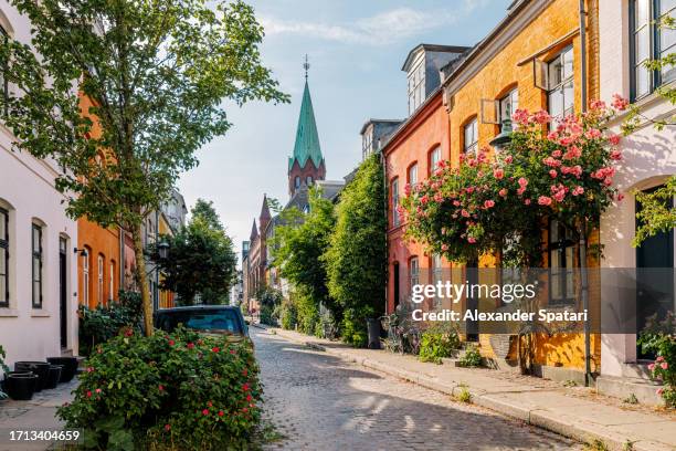 charming street with residential houses and blooming flowers in copenhagen, denmark - flower wall stock pictures, royalty-free photos & images