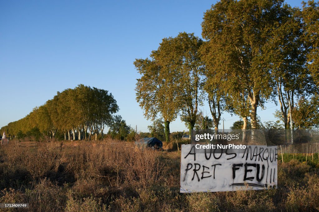 Plane trees cut in Vendine for the building of the decried A69... News ...