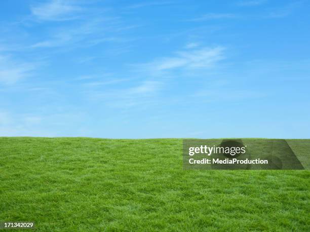 campos de irlanda - field blue sky fotografías e imágenes de stock