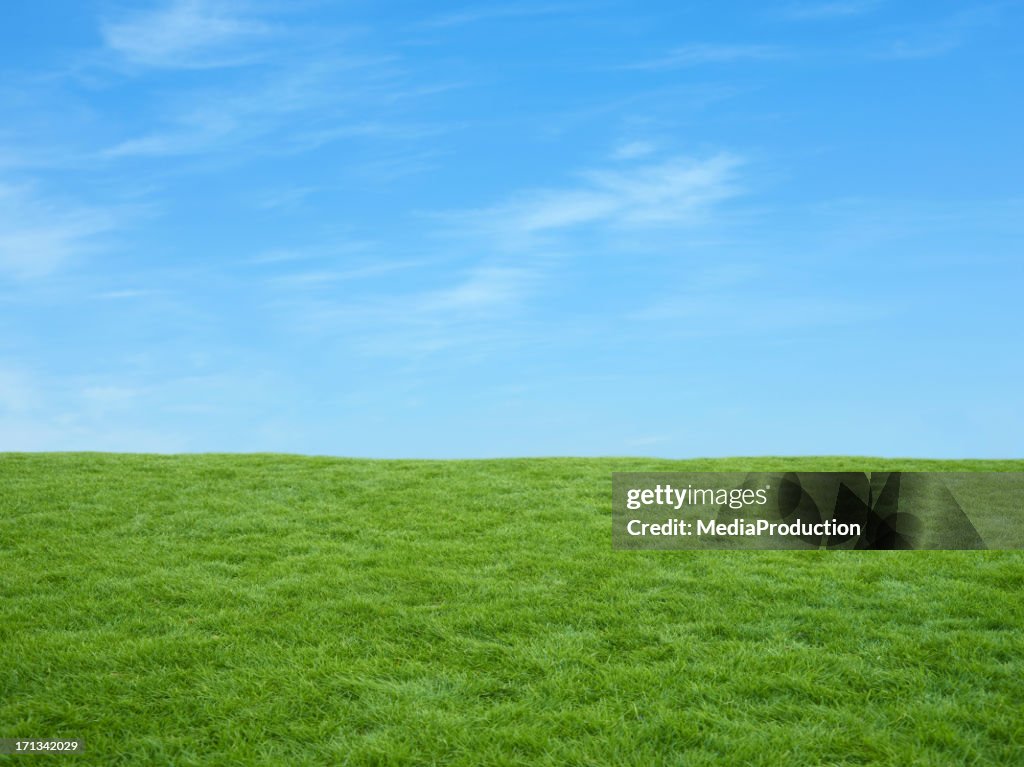 Irish fields