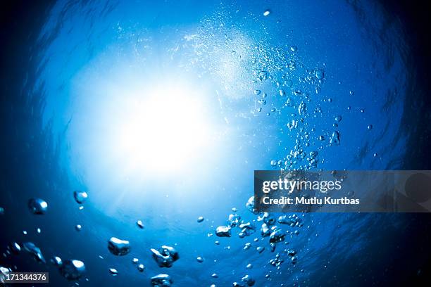underwater bubbles beautiful turn blue background with sunlight - onderzee stockfoto's en -beelden
