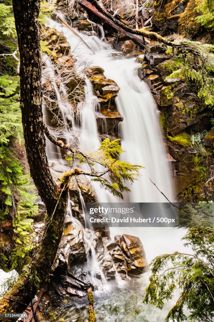 Scenic view of waterfall in forest,United States,USA
