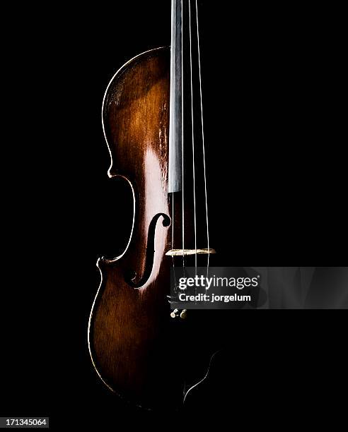 violin in shadow - noose stock pictures, royalty-free photos & images