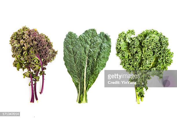 three leafy kale plants - leaf vegetable stock pictures, royalty-free photos & images