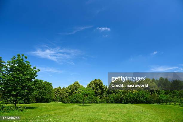 paysage d'été - ciel bleu sans nuage photos et images de collection