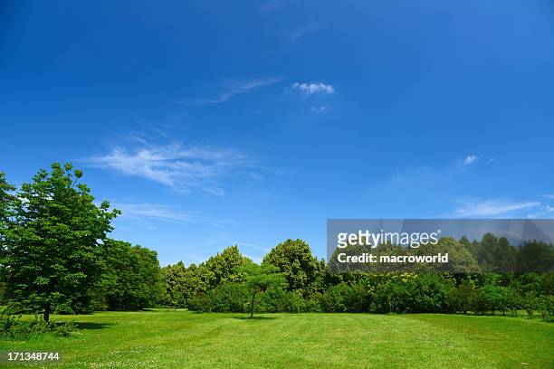summer landscape - clear sky stock pictures, royalty-free photos & images