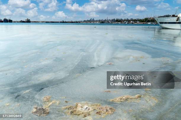 pollution and mucilage in the sea in the city of istanbul. - schleimschicht stock-fotos und bilder