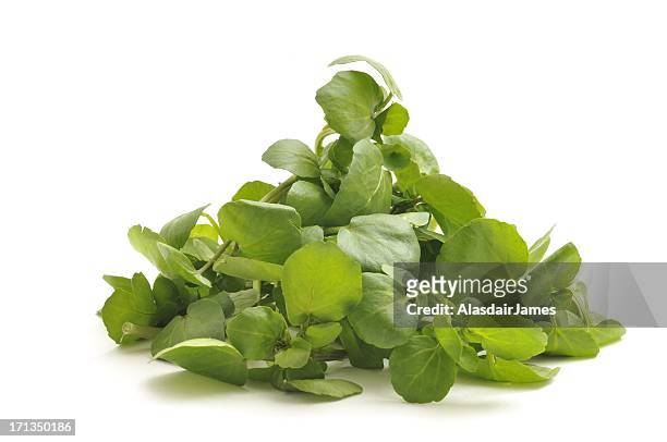 watercress - watercress stock pictures, royalty-free photos & images
