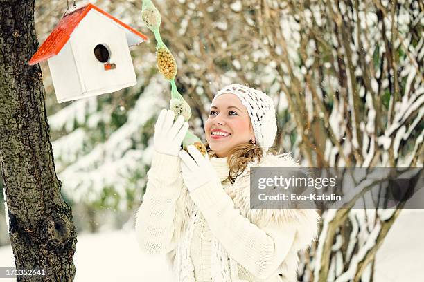 winter care - bird seed stockfoto's en -beelden