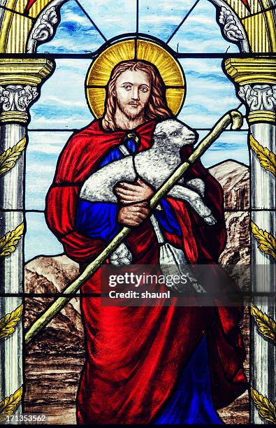 das shepherd - buntglas stock-fotos und bilder