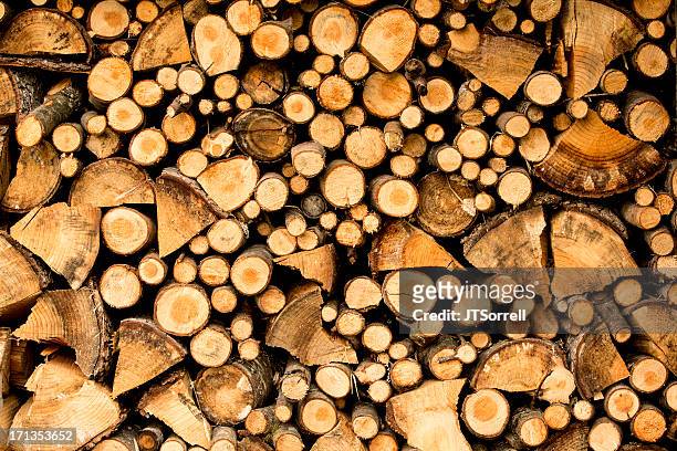 densely stacked wood - douglas fir stock pictures, royalty-free photos & images