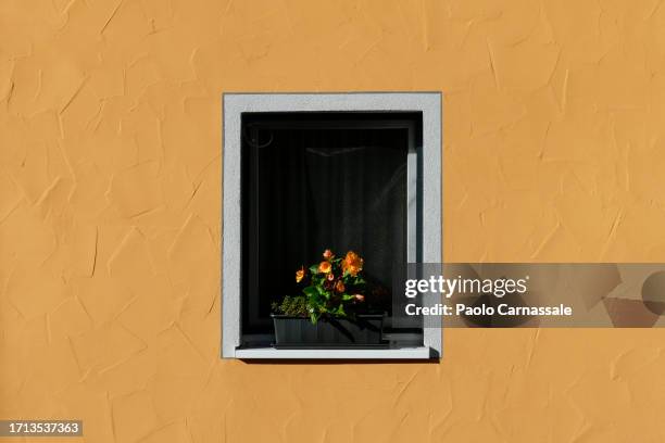 orange color house facade with begonia flower pot on window. - open window frame stock pictures, royalty-free photos & images