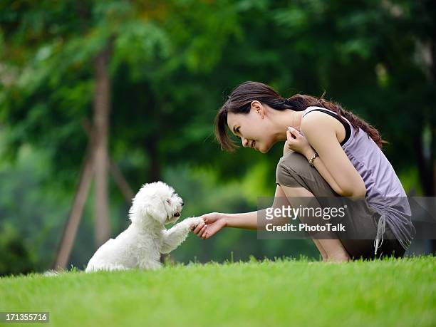 woman training dog shaking hand and communication- xxxxxlarge - dierentemmer stockfoto's en -beelden