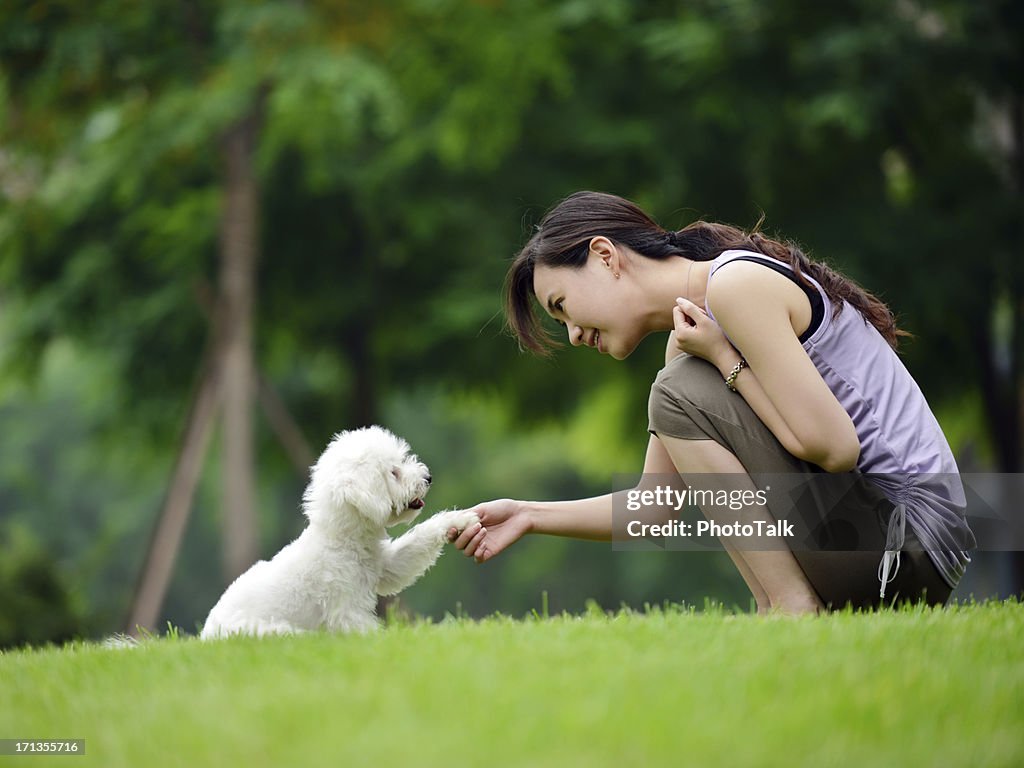 Woman Training Dog Shaking Hand and Communication- XXXXXLarge