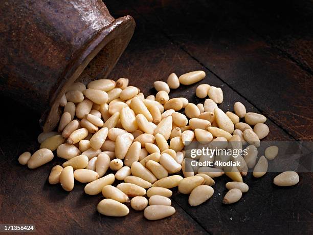 pine nuts - pinion stock pictures, royalty-free photos & images