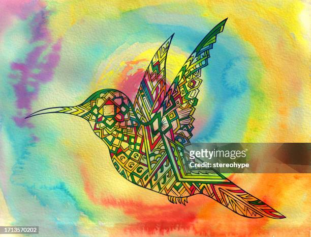 illustrations, cliparts, dessins animés et icônes de colibri arc-en-ciel - partie du corps d'un animal