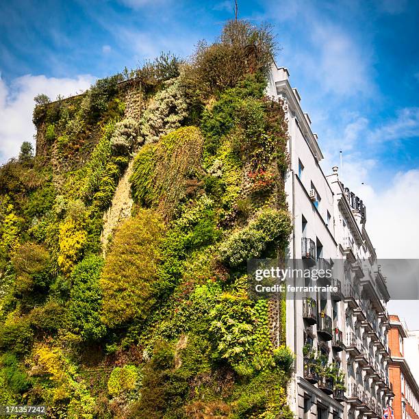 vertical garden madrid - european outdoor urban walls stockfoto's en -beelden