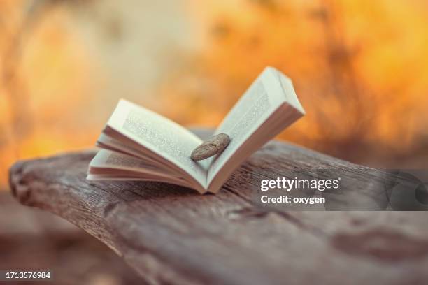 open book ready to be read open book with stone bookmark on a wooden table on natural autumn yellow blurred background - romance book covers fotografías e imágenes de stock