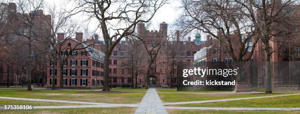 campus de la universidad de yale - new haven fotografías e imágenes de stock