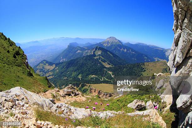chartreuse mountain range in summer - grenoble stock pictures, royalty-free photos & images
