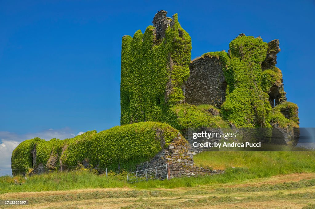 Ballycarbery Castle Ring Of Kerry County Kerry Ireland High Res Stock ballycarbery-castle-ring-of-kerry-county-kerry-ireland-high-res-stock