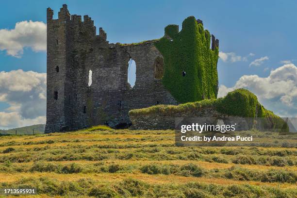 Ardnacreach Castle