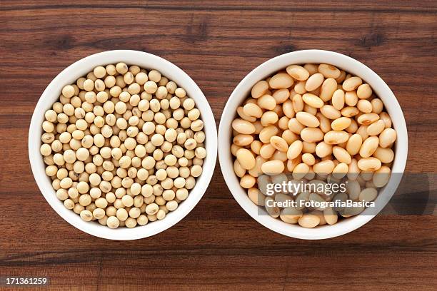 dried and soaked soybeans - glycine bildbanksfoton och bilder