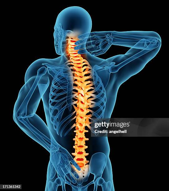 anatomy of a man showing back pain - spinal column stock pictures, royalty-free photos & images