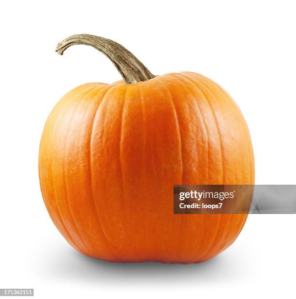 kürbis mit clipping path - flaschenkürbis stock-fotos und bilder