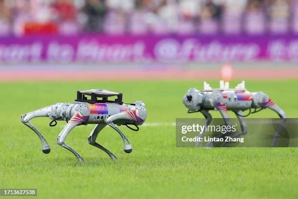 Remote control robotic dog carrying discus during day 9 of the 19th Asian Games at Hangzhou Olympic Sports Centre on October 02, 2023 in Hangzhou,...