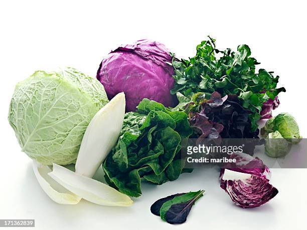 lettuce family portrait - variety stockfoto's en -beelden