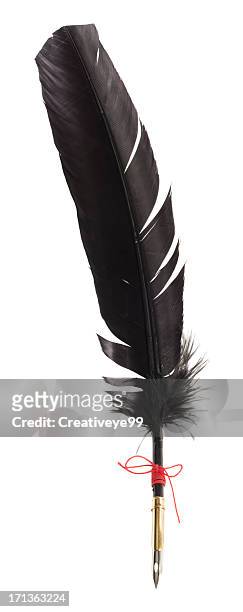 schwarze feather quill pen - daunenfeder freisteller stock-fotos und bilder