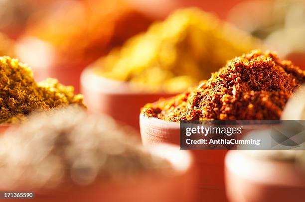 brightly coloured ground cooking spices in terracotta bowls - spice bildbanksfoton och bilder