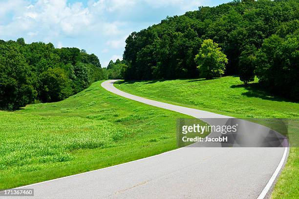 curved road - natchez trace parkway stock pictures, royalty-free photos & images