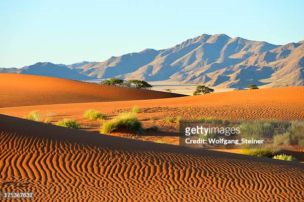 dune riples in front of a mountain range - namibia stock pictures, royalty-free photos & images