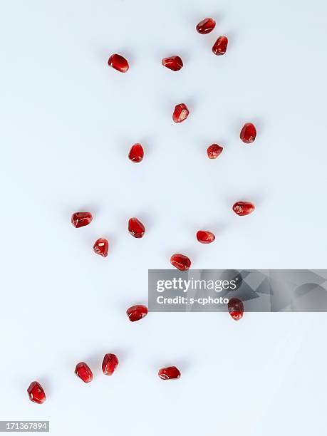 pomegranate seeds (click for more) - pomegranate seed stock pictures, royalty-free photos & images