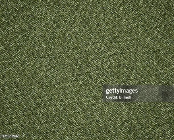 verde, tela de lona - mezcla de lana fotografías e imágenes de stock