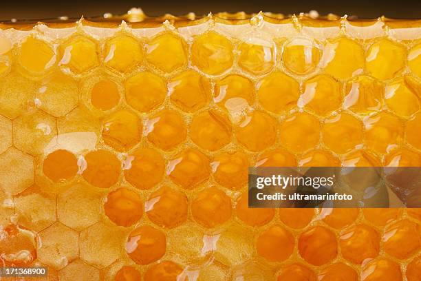 honeycomb slice - honing stockfoto's en -beelden