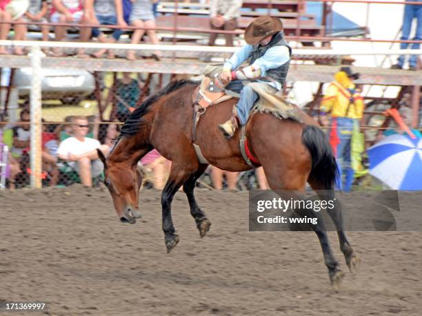 bruce stampede rodeo - bucking stock-fotos und bilder