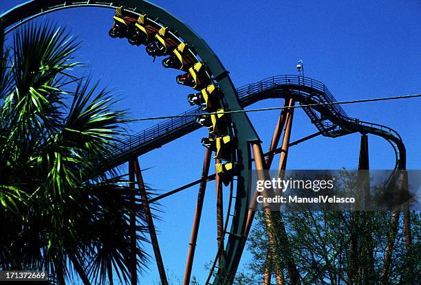 speed - busch gardens tampa stock pictures, royalty-free photos & images