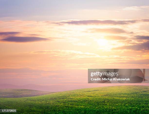 hilly meadow - grass mound stock pictures, royalty-free photos & images