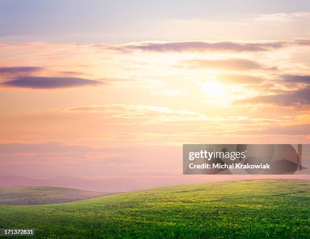 hilly meadow - green pasture stock pictures, royalty-free photos & images